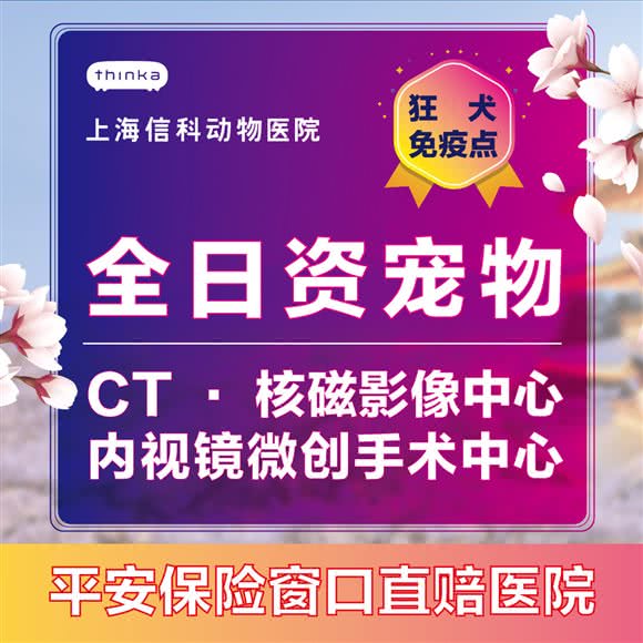 上海信科动物医院·全日资CT核磁影像中心:上海城区黄浦区打浦桥/田子坊附近