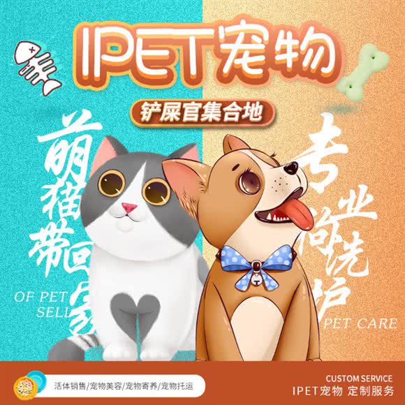 IPET宠物店(新天地):上海城区黄浦区淮海路/陕西南路附近