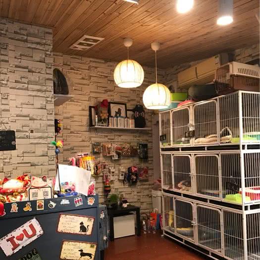 毛毛头宠屋(淮海路店):上海城区黄浦区淮海路/陕西南路附近