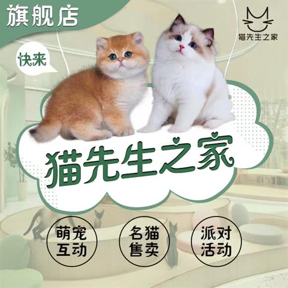 猫先生之家?猫舍?撸猫馆(淮海中路百盛店)上海总店:上海城区黄浦区淮海路/陕西南路附近
