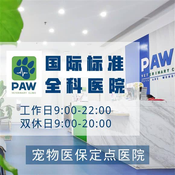佩兹宠物医院·奥运金牌猫友好诊所:上海城区黄浦区淮海路/陕西南路附近