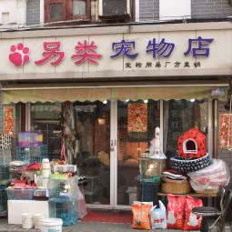 另类宠物店:上海城区黄浦区人民广场/南京路附近