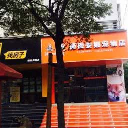 薇薇安娜宠物店:上海城区黄浦区老西门/陆家浜路附近