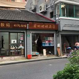 宠物蟋蟀商店:上海城区黄浦区老西门/陆家浜路附近