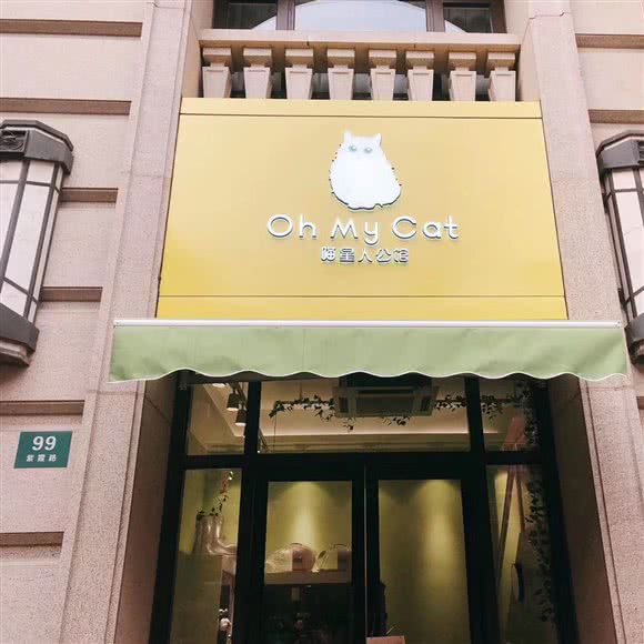 Oh My Cat喵星人公馆·猫舍(黄浦店):上海城区黄浦区董家渡/南浦大桥附近