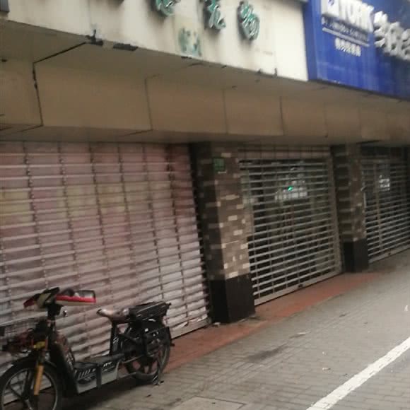 新概念宠物店(中山南路店):上海城区黄浦区西藏南路/世博会馆附近