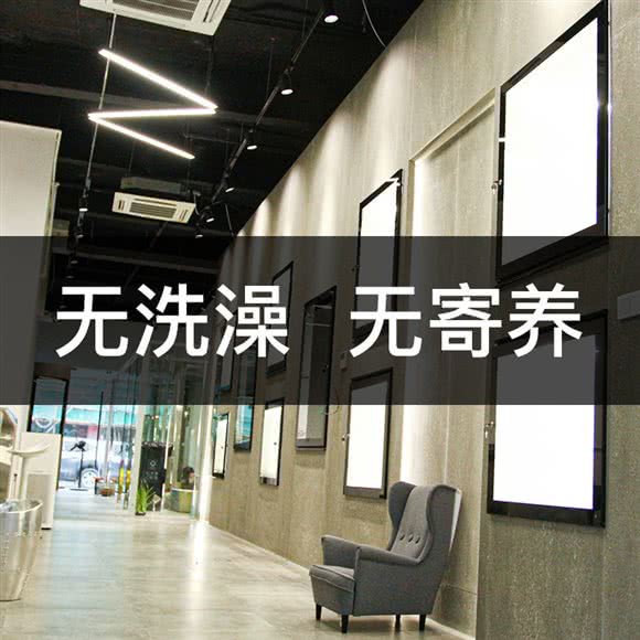 喵物多多猫舍:上海城区黄浦区西藏南路/世博会馆附近
