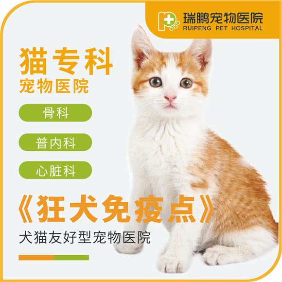 瑞鹏宠物医院凯特喵猫专科医院狂犬免疫点(黄浦分院):上海城区黄浦区西藏南路/世博会馆附近