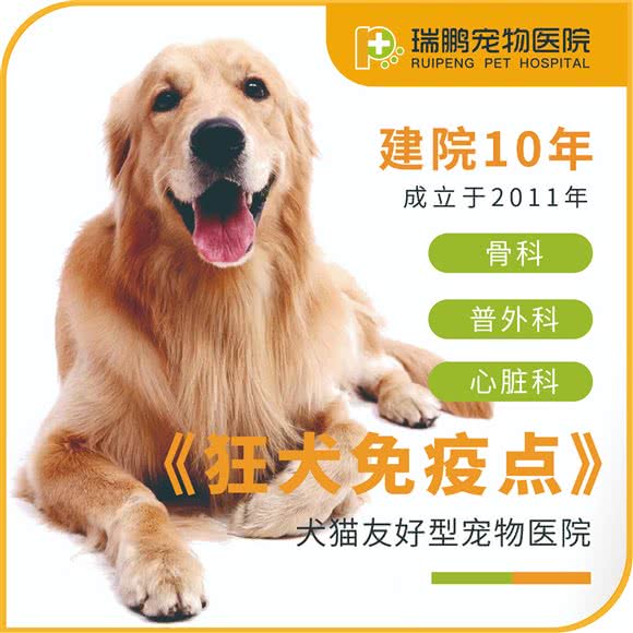 瑞鹏宠物医院狂犬免疫点(徐汇分院):上海城区徐汇区徐家汇附近