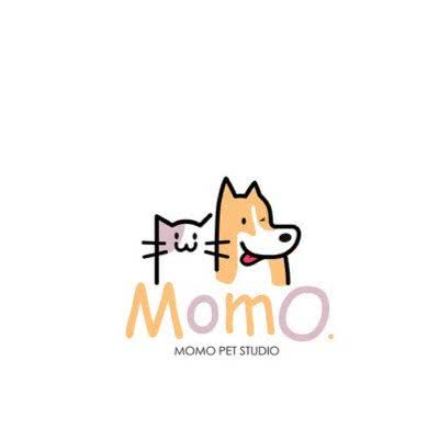 momo宠物·萌宠专售·撸猫:上海城区徐汇区漕河泾/田林附近