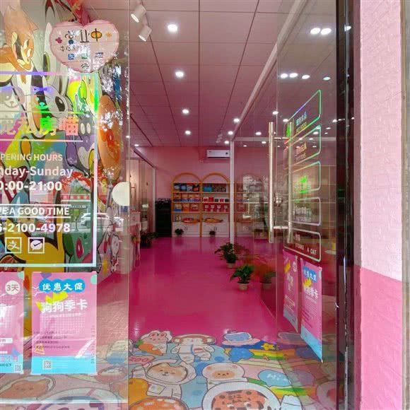 Tiamo 潮宠私房喵宠物店:上海城区徐汇区漕河泾/田林附近