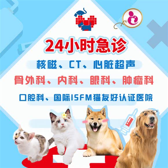 上海领华动物医院·24h转诊中心·核磁·CT:上海城区徐汇区漕河泾/田林附近