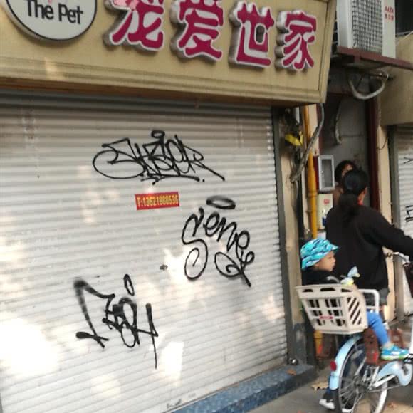 宠爱世家:上海城区徐汇区音乐学院/五官科医院附近