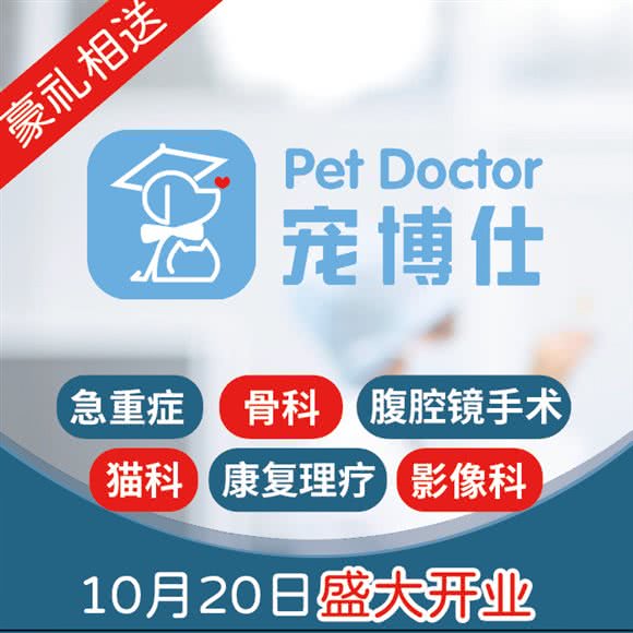 宠博仕宠物医院·神经外科·全髋置换:上海城区徐汇区龙华/西岸附近
