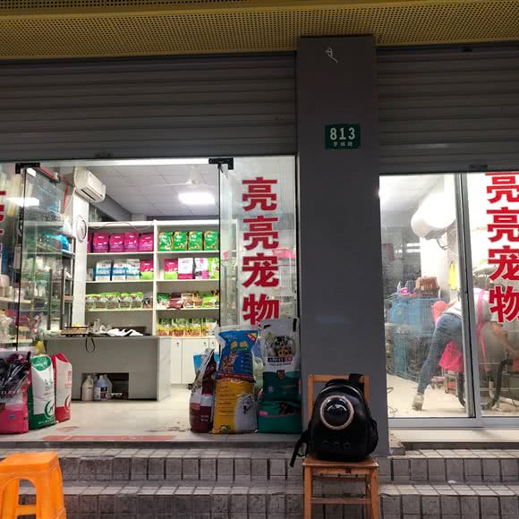 亮亮宠物:上海城区徐汇区上海南站附近