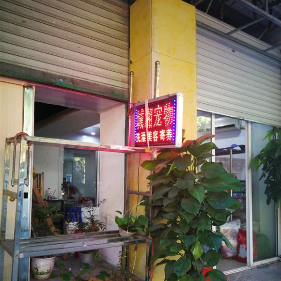 城湘宠物:上海城区徐汇区上海南站附近