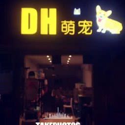 DH萌宠:上海城区徐汇区上海南站附近