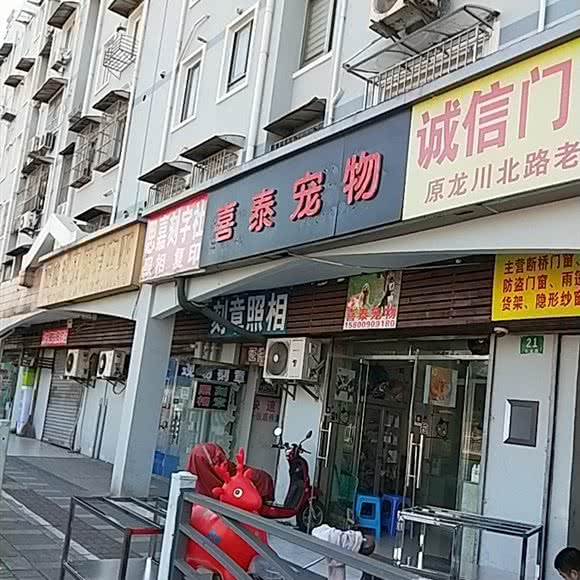 喜泰宠物:上海城区徐汇区上海南站附近