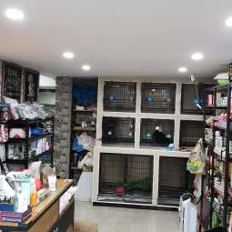 80萌宠屋:上海城区徐汇区上海南站附近