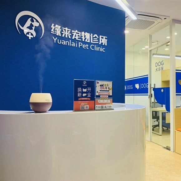 缘来宠物诊所:上海城区徐汇区上海南站附近