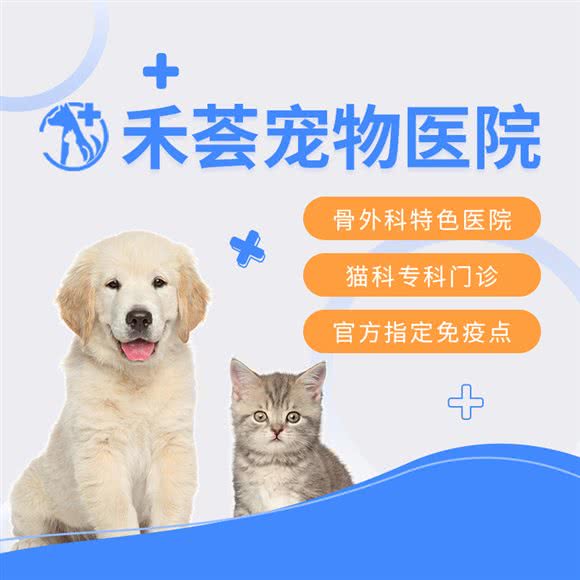 禾荟宠物医院:上海城区徐汇区上海南站附近