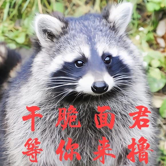 喵时光猫咖猫舍·桌游·轰趴馆:上海城区徐汇区万体馆附近