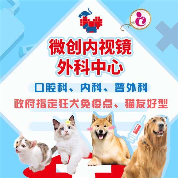 领华宠医·医达动物医院·内视镜微创手术中心·国际猫友好诊所:上海城区徐汇区万体馆附近