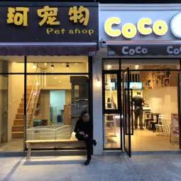艾珂宠物(泰安路店):上海城区徐汇区复兴西路/丁香花园附近
