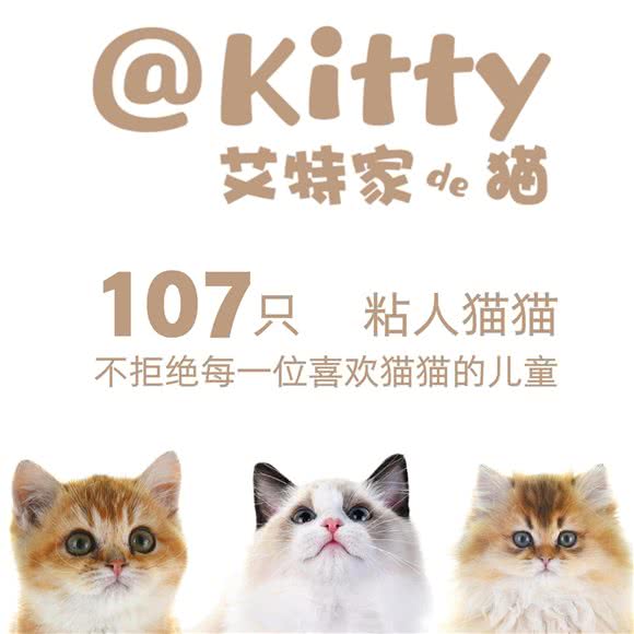 艾特家的猫咖·撸猫馆:上海城区长宁区中山公园/江苏路附近