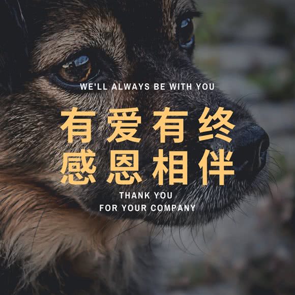 渡恩德宠物殡葬火化服务(长宁店):上海城区长宁区中山公园/江苏路附近