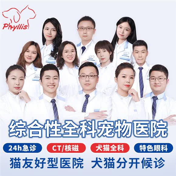 菲丽丝爱尔宠物医院·CT/MRI核磁共振·猫友好医院:上海城区长宁区中山公园/江苏路附近