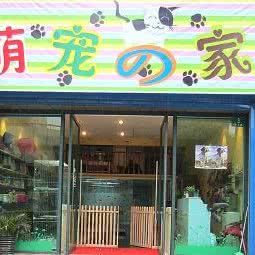 萌宠之家:上海城区长宁区天山附近