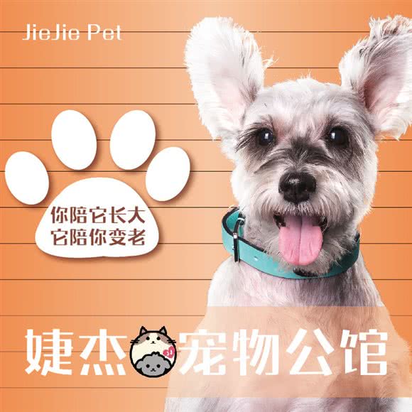婕杰宠物公馆:上海城区长宁区北新泾/淞虹路附近