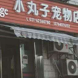 小丸子宠物店:上海城区长宁区上海影城/新华路附近