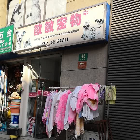 宠物生活馆:上海城区长宁区虹桥路附近
