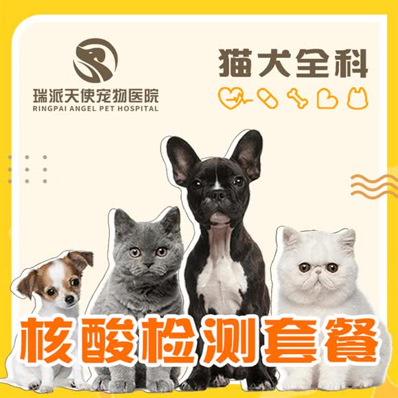 瑞派天使宠物医院核磁·血透服务中心:上海城区静安区闸北公园附近