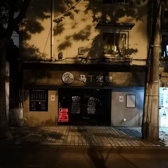 马丁宠物:上海城区静安区上海火车站/客运汽车总站附近