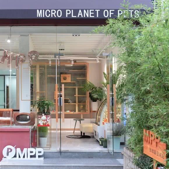 宠微星专业猫咪寄养洗护中心:上海城区静安区大宁地区附近