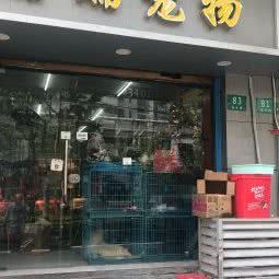瑞瑞宠物:上海城区静安区大宁地区附近