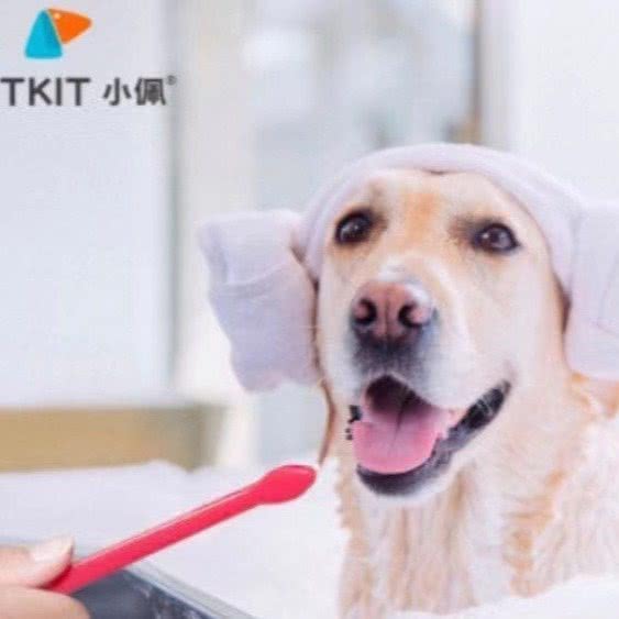 PETKIT小佩宠物(延长路店)(延长店):上海城区静安区大宁地区附近