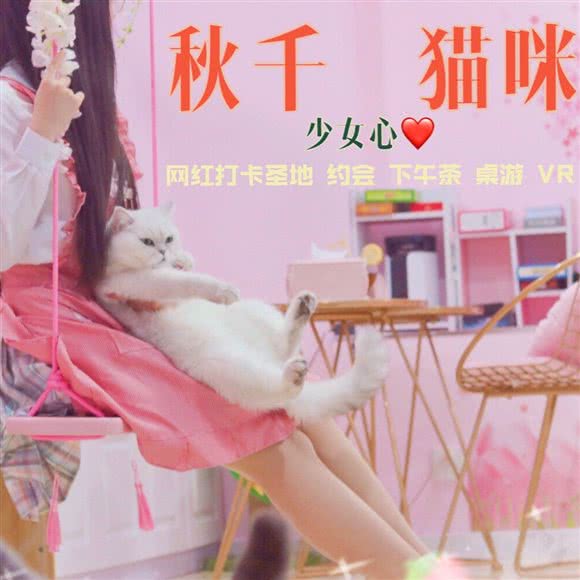 CC猫咖·撸猫猫舍:上海城区静安区大宁地区附近