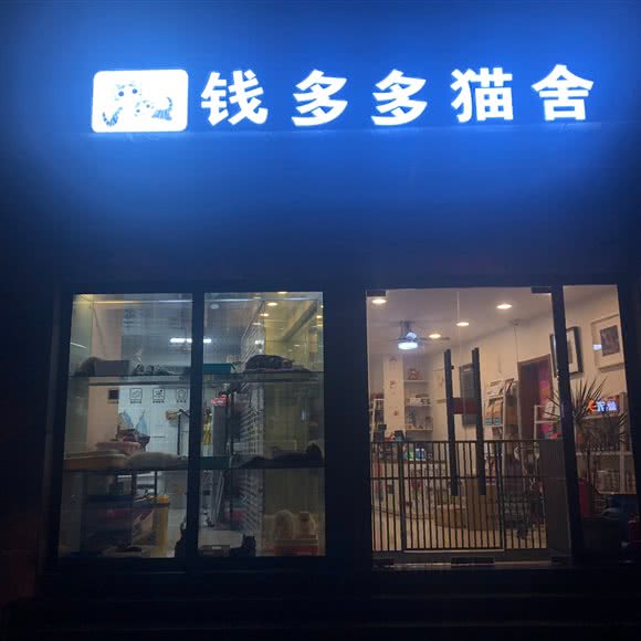 钱多多猫舍:上海城区静安区大宁地区附近