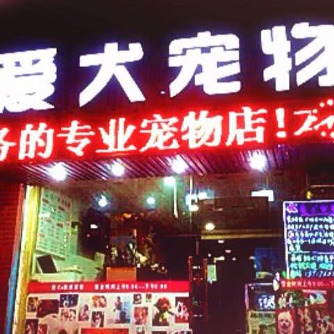 爱犬宠物活体美容殡葬:上海城区静安区彭浦新村附近