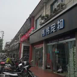 伟伟宠物:上海城区静安区彭浦新村附近