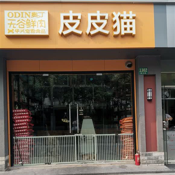 皮皮猫:上海城区静安区彭浦新村附近
