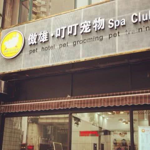 傲雄·叮叮宠物SPA Club:上海城区普陀区长寿路附近