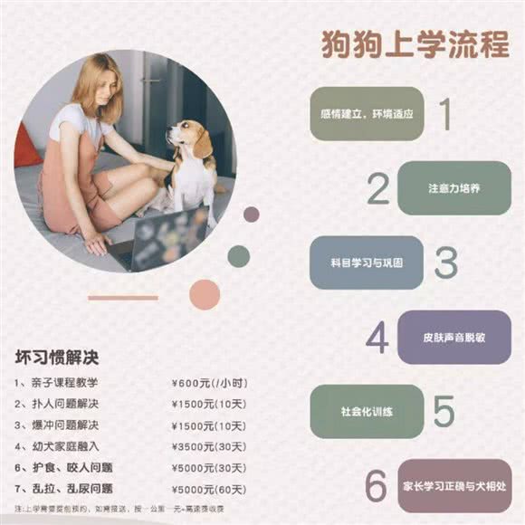 金牌宠物寄养训练狗狗学校(澳门路店):上海城区普陀区长寿路附近