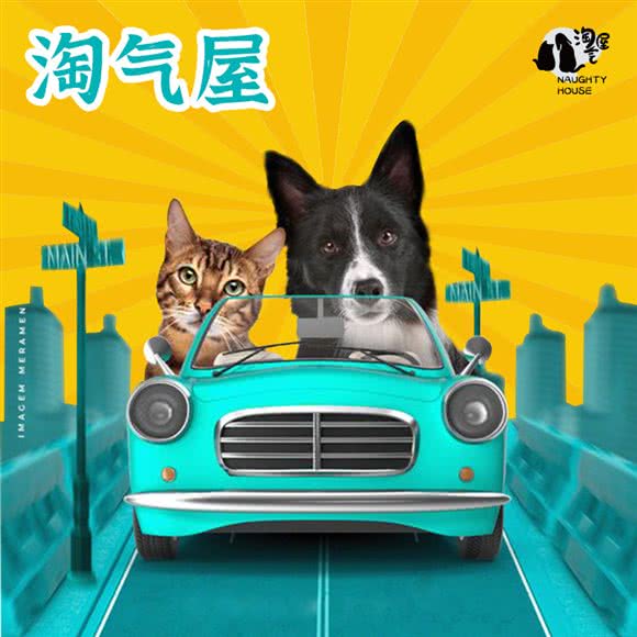 Naughty House淘气屋狗狗·猫舍:上海城区普陀区长寿路附近