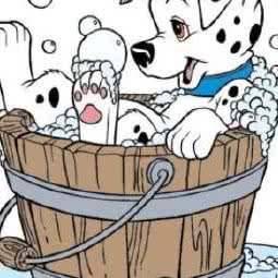 PETKIT小佩狗狗:上海城区普陀区中山北路/甘泉地区附近