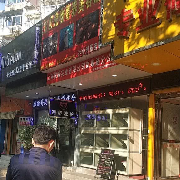 宝贝宠物寄养美容店:上海城区普陀区中山北路/甘泉地区附近